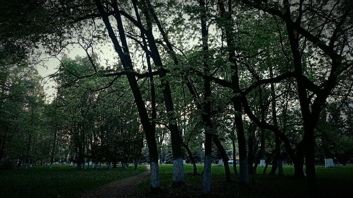 В Кемерове разыскивают пропавшего 9-летнего мальчика в красной футболке