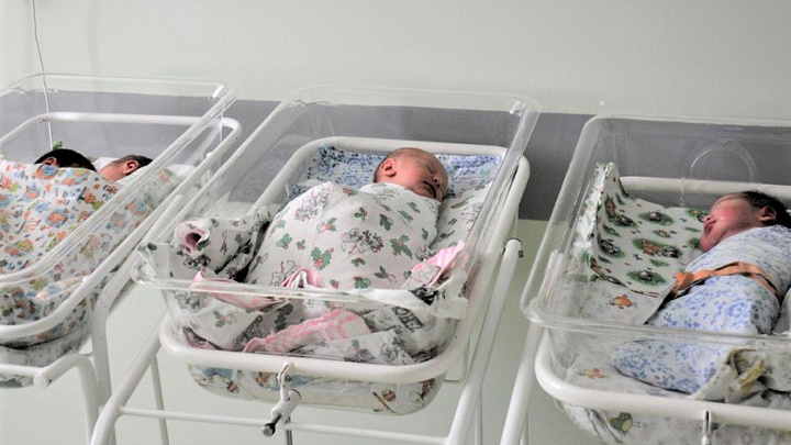 В Краснодарском крае в новогоднюю ночь родились 14 мальчиков и 12 девочек