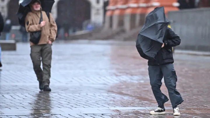 Юг России накрыло монстр-штормом: деревья летят, самолёты не взлетают, суда ушли в дрейф