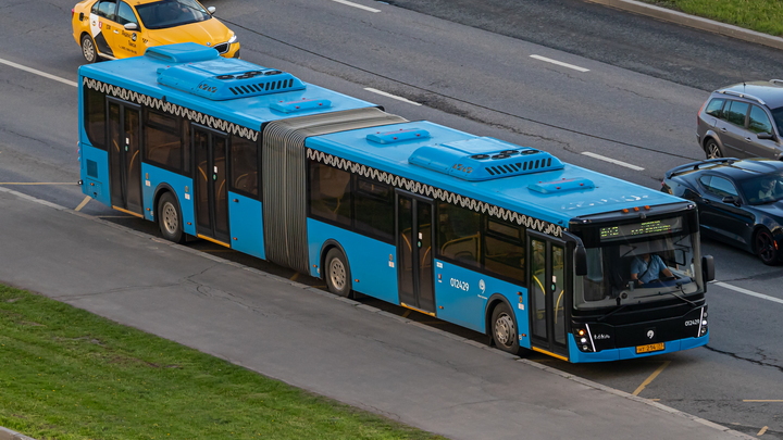 Автобусы-гармошки могут появиться на четырех пермских маршрутах уже в следующем году