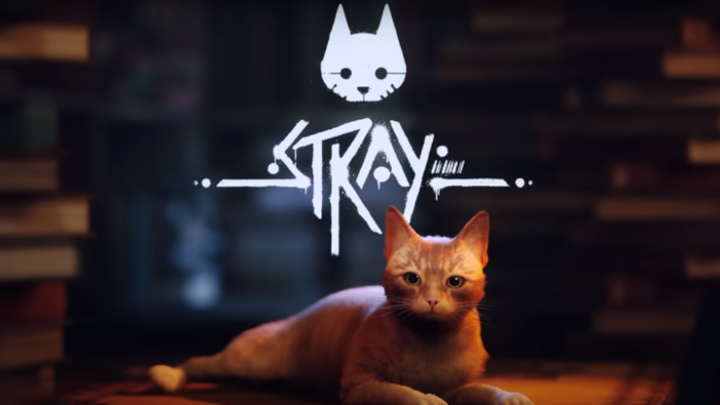 Stray     