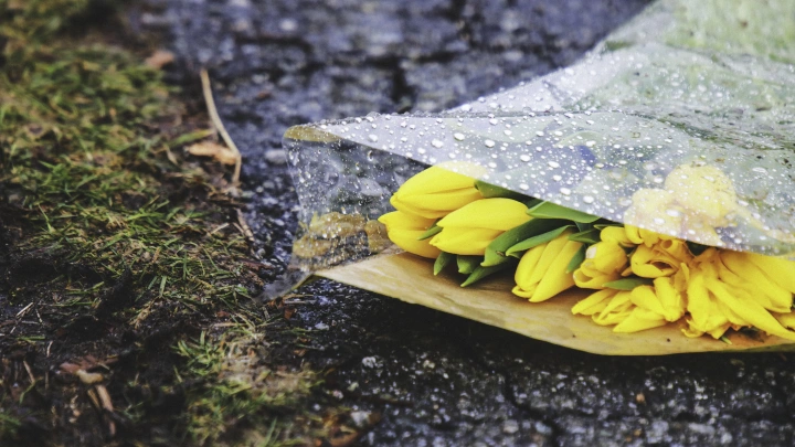 Синоптик пообещал похолодание жителям Центральной России в эти выходные