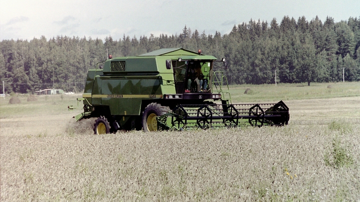 Иностранные компании выкачивают из России зерно. Три губернатора обратились к Путину за помощью