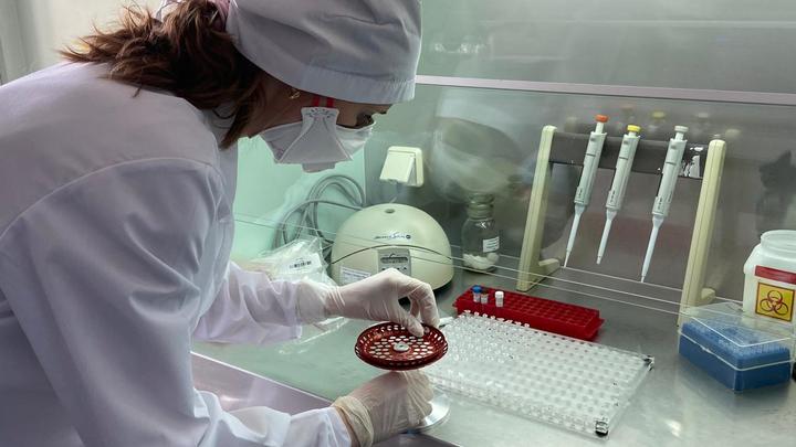 Ещё 11 человек скончались от коронавируса в Нижегородской области