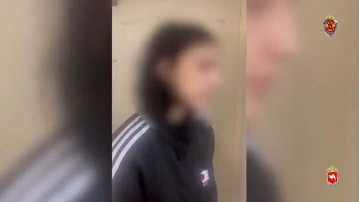 Силовики задержали в Челябинске 18-летнего владельца крупной SIM-фермы для мошенников