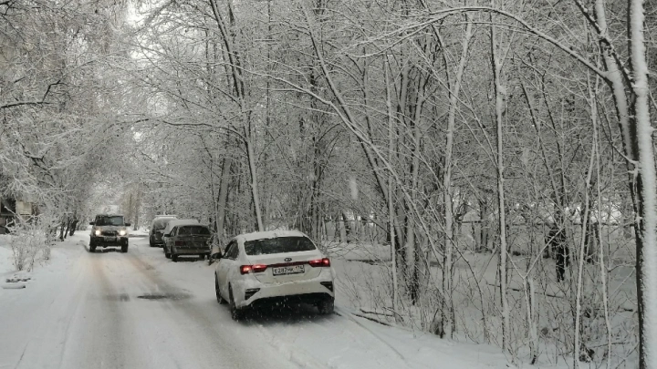 Прошла мимо дедушки в лес: в Челябинской области нашли тело 19-летней девушки