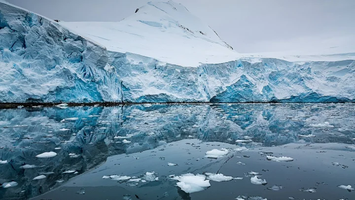 Раскрыта тайна Антарктиды: подо льдом скрывается доисторическая экосистема