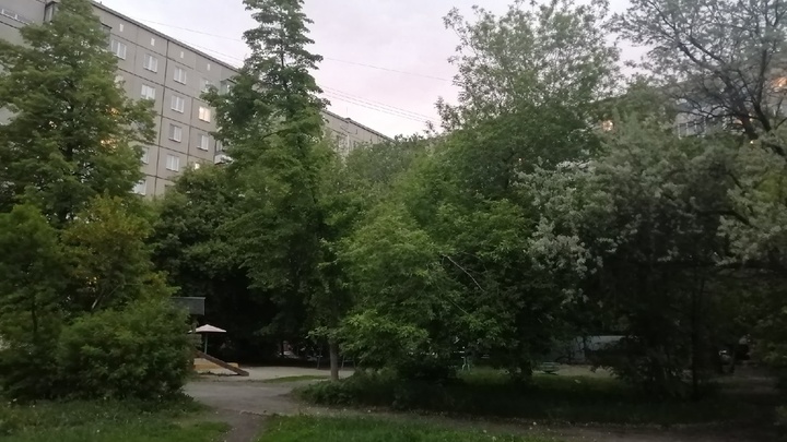 В Челябинске прохожий ударом ноги убил таксу и бросил камень в хозяйку собаки