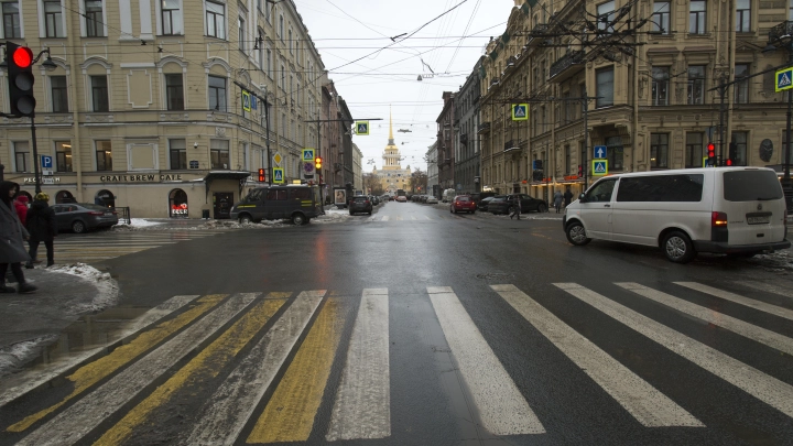 В Петербурге расцветают подснежники. Тепло в городе будет ещё как минимум неделю
