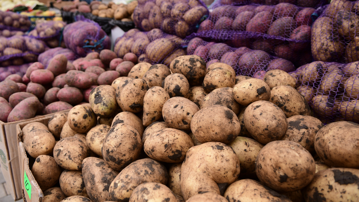 В Краснодаре работают шесть ярмарок выходного дня