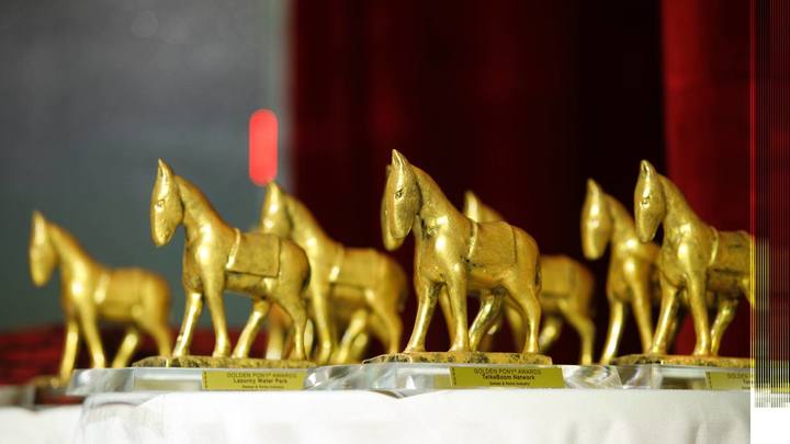 Сочинский парк «Ривьера» получил «Золотого пони» за динамичное развитие