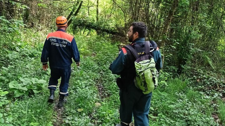 Спасатели в Сочи искали заблудившуюся в лесу 84-летнюю женщину