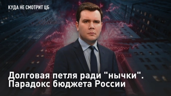 Долговая петля ради нычки. Парадокс бюджета России