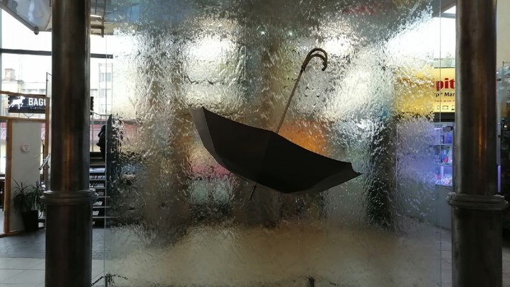 Погода в Ленобласти на 12 июля 2023: дожди и +23