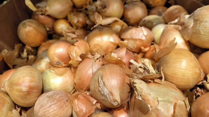 Лук теперь на вес золота: на Дону цены выросли вдвое