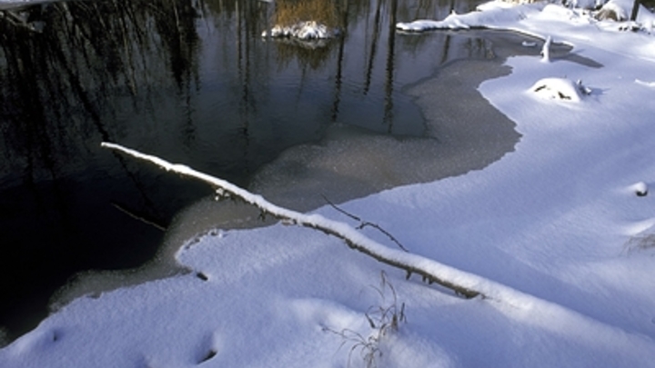 Двое малолетних детей провалились под лёд и погибли в Забайкальском крае