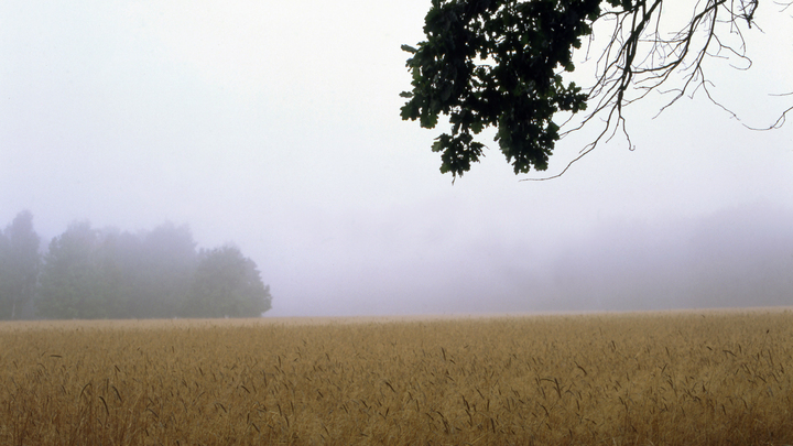 Синоптики рассказали о погоде в Краснодарском крае в последний день зимы
