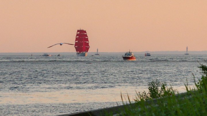 Что происходит?!: Пронько перешёл на многоточие после фото из Петербурга