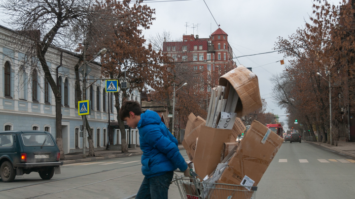 Сдавать макулатуру у нас всегда было нормой. Жителям России предлагают вспомнить о давней традиции
