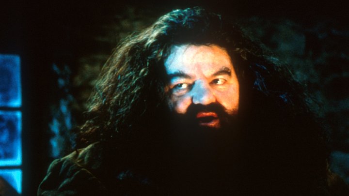 Причина смерти Робби Колтрейна: врачи рассказали, от чего умер исполнитель роли Хагрида