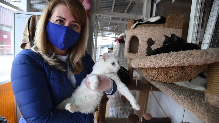 Социальные проекты в столице: гранты мэра Москвы увеличились на 200 миллионов