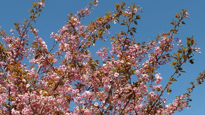 Кто и как работает и отдыхает в майские праздники: Актуальная информация