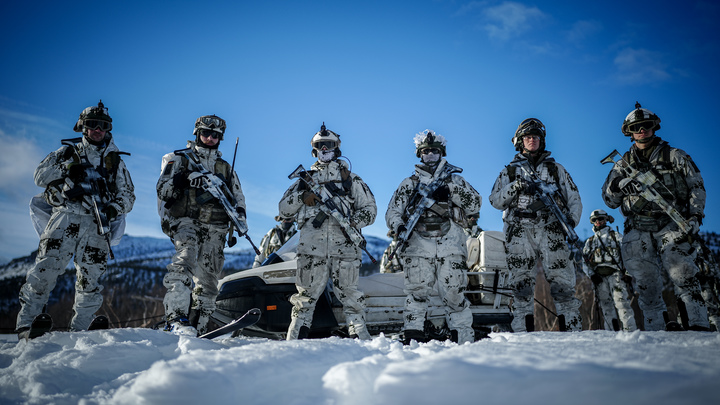 Гадят в сараях и пугают оленей: Учения НАТО обернулись скандалом. Кто возместит ущерб?