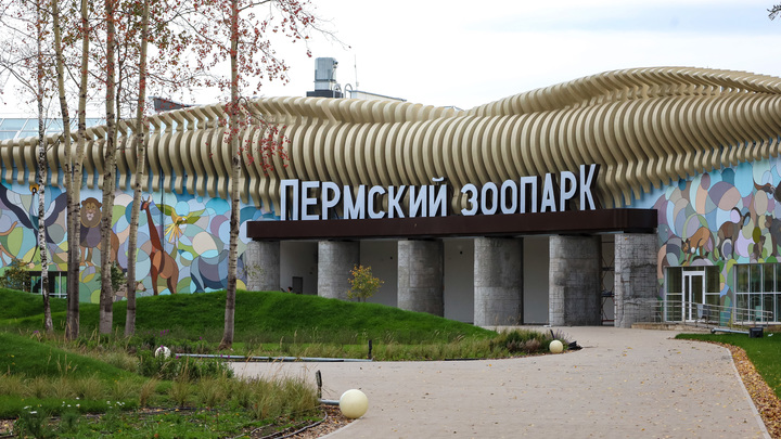Власти Перми подали документы на получение лицензии для нового зоопарка