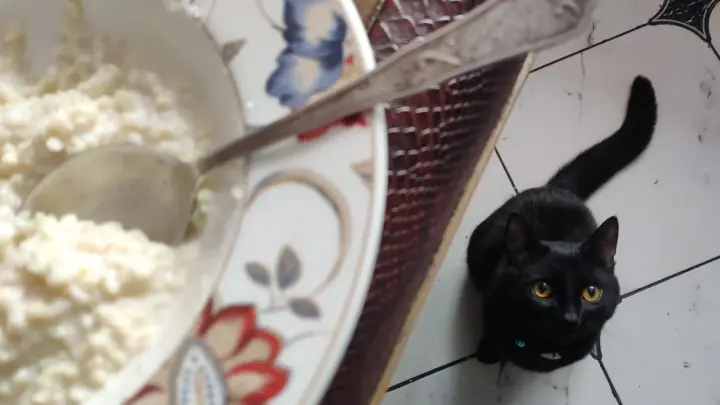 На Украине начался ажиотажный спрос на гречневую крупу