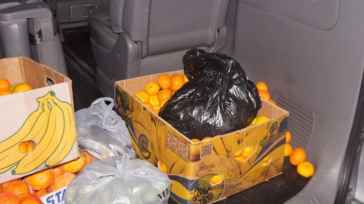 В Сочи на границе обнаружили спрятанную в мандаринах контрабандную рыбу