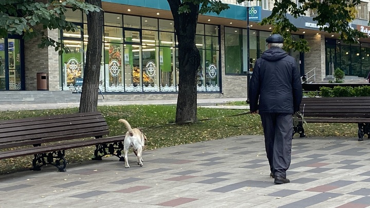 С 15 октября в Самаре пенсионеры могут пожаловаться на неправомерную блокировку карт