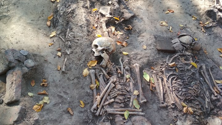 Nature: современные люди появились в Европе 45 тысяч лет назад