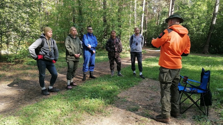 В Новосибирской области 44-летняя женщина заблудилась в Караканском бору