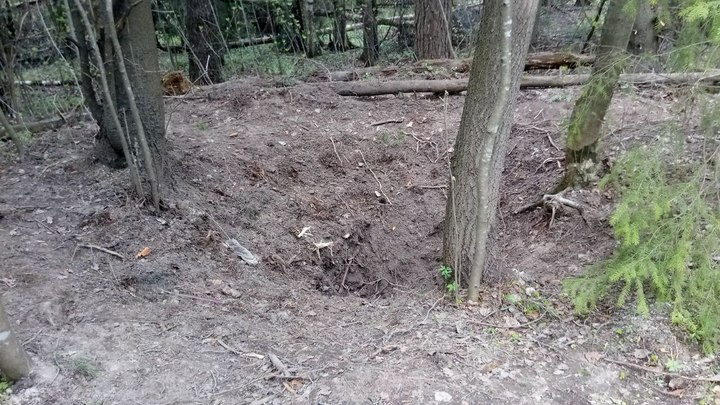 Что известно об убийцах 13-летней школьницы из Петербурга: все учились в одной школе