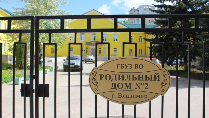 Владимирцы выбирают голосованием, что сделать на базе роддома №2