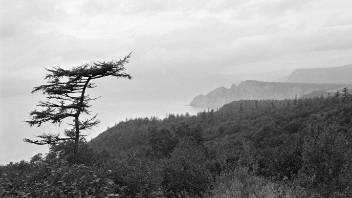 Это страшный русский Магадан? Нет, это Сан-Франциско: Знаковые фото из США