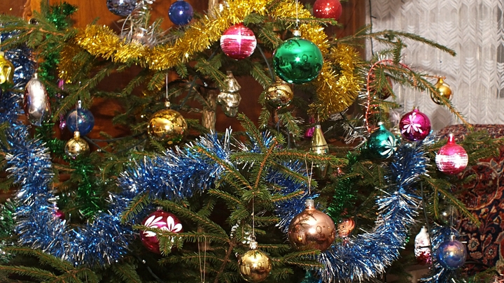 Когда пора выбрасывать ёлку: Врач дал неожиданный ответ