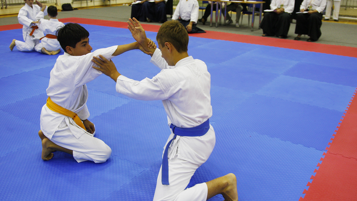 В Мелитополе прошел мастер-класс по карате