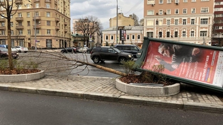 Лютый ветер в Москве: МЧС прервало телеэфиры из-за урагана - онлайн-трансляция