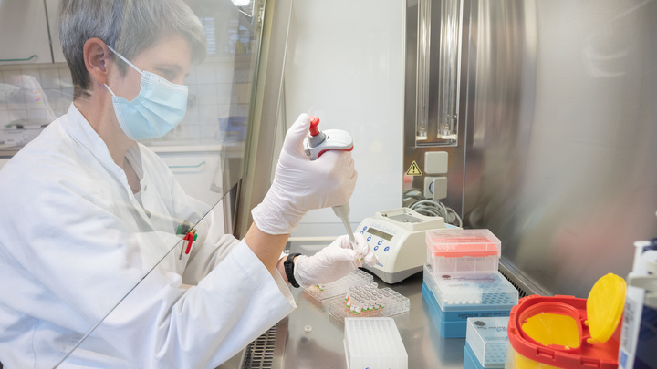 О таком мы слышали: Инфекционист объяснил связь свиного гриппа и COVID-19