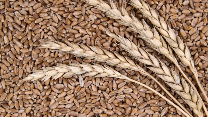 Зерновую сделку обсудили, но: Турция раскрыла содержание встречи в Стамбуле