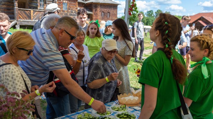 В Суздале День Огурца пройдёт 15 июля: что в программе праздника