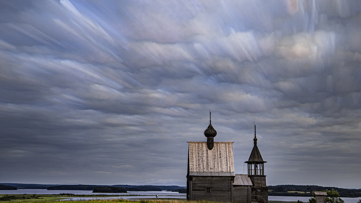 В Поморье пройдет региональный арт-конкурс Красной книги