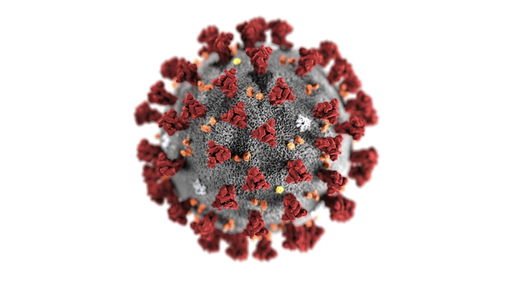 Пожизненный иммунитет к COVID возможен: Глава Вектора назвал два способа
