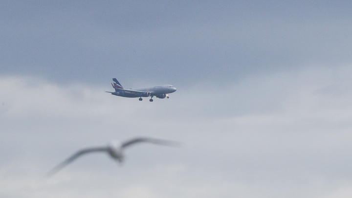 Взлётка аэропорта ушла под воду вместе с самолётами: Стихия уже унесла жизни десятков людей