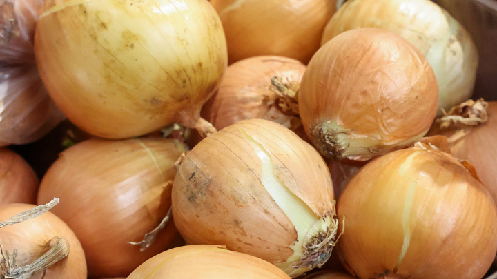 Врач указала на четыре запрещённых продукта для поджелудочной: В список попал лук