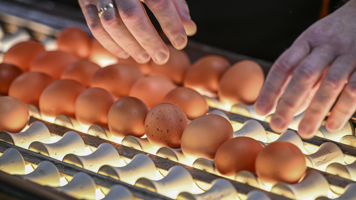 Названы пять простых продуктов для хорошего гемоглобина: Чем нельзя запивать такую еду