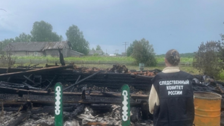 Мать и дочь погибли на пожаре в деревне Костино Плесецкого района