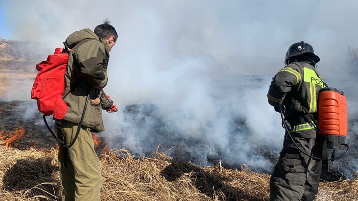 В Чите потушили очередной пал травы