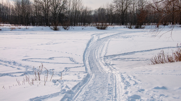 В Алтайском крае нетрезвый подросток насмерть замёрз по дороге домой